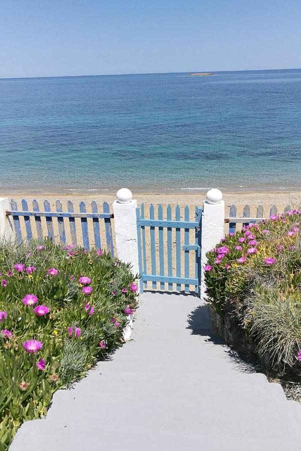 Villa Anemos Seaside House Skyros Exterior foto